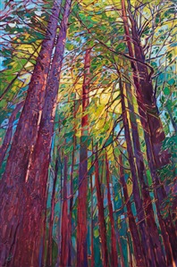 The redwood forest near Mendocino, in Northern California, is captured on canvas with thickly applied brush strokes and vibrant color. The crisscrossing of the branches creates a mosaic pattern of light and shadow among the leaves. 

"Redwoods" was created on 1-1/2" canvas, with the painting continued around the edges. The piece arrives framed in a custom-made gold floating frame.