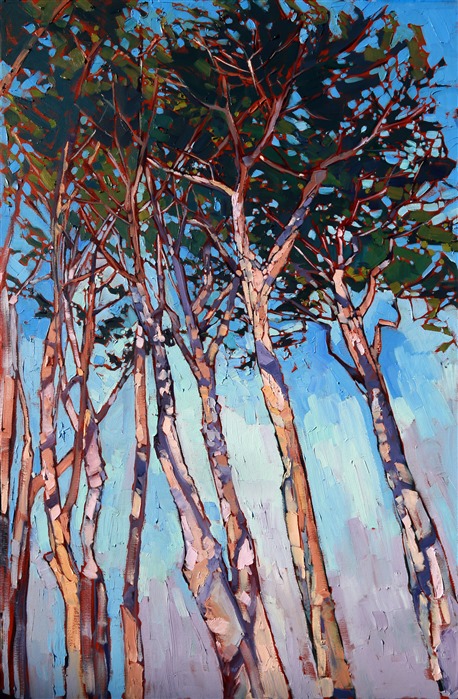 Long cypress trees stretch high into the blue summer sky of Monterey, gentle lavender shadows creating a network of patterns across the milky bark. The brush strokes are loose and impressionistic, each stroke a distinct color and texture.