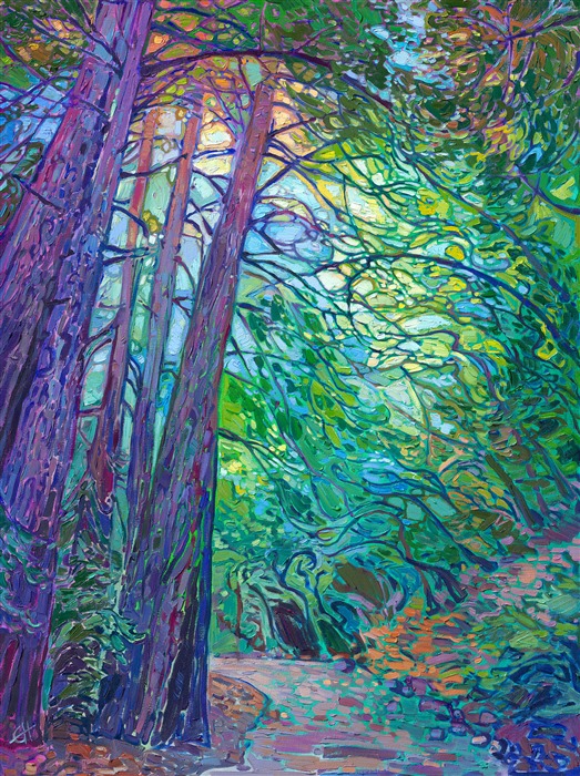 This path invites you into a peaceful land of beautiful light and color surrounded by coastal redwoods. You can almost imagine your quiet footfalls on the pine-needle-covered ground, soft light sparkling and peeking in between the boughs high overhead.</p><p>