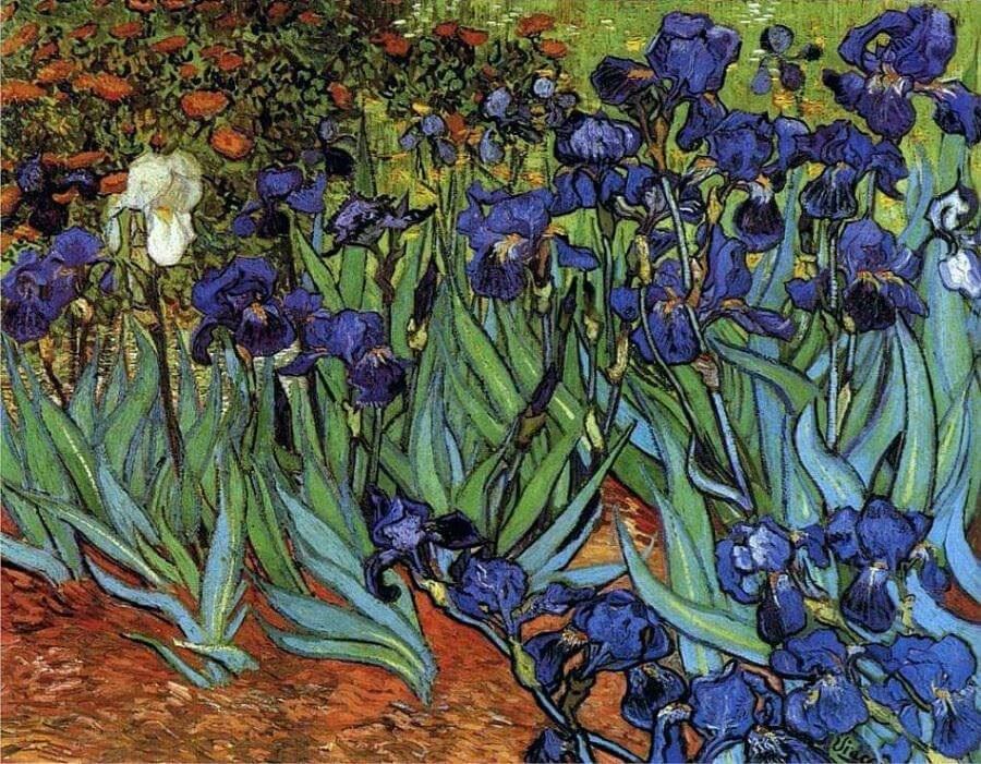 Irises by Vincent van Gogh