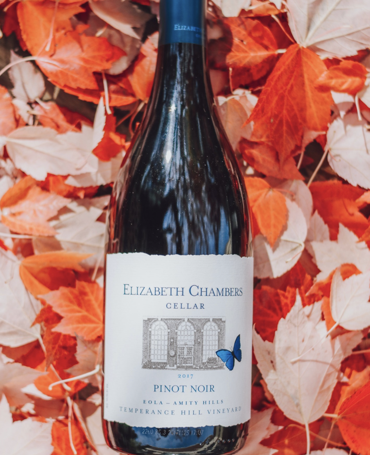 Elizabeth Chambers wine bottle