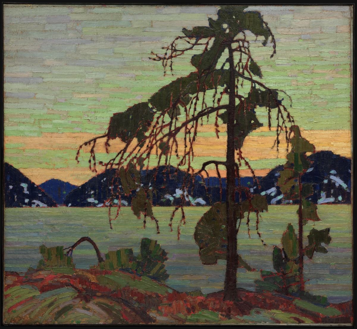 The Jack Pine by Thom Thomson