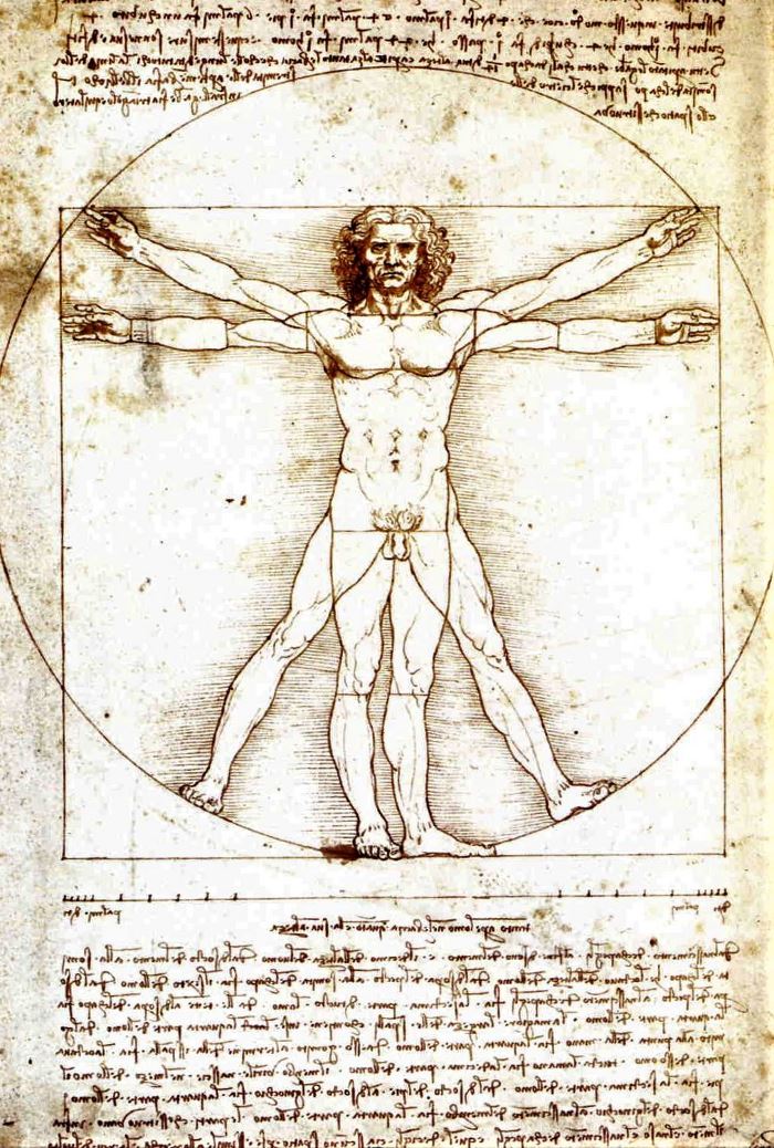 Vitruvian Man by Leonardo Da Vinci