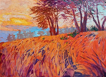 Mendocino cypress, a contemporary impressionist oil painting capturing the fog layer of northern California. Painting Mendocino Cypress