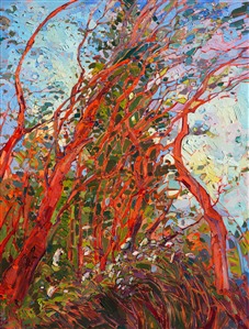 Pacific Madronas, painted in thickly impasto oil paints, by modern impressionist Erin Hanson