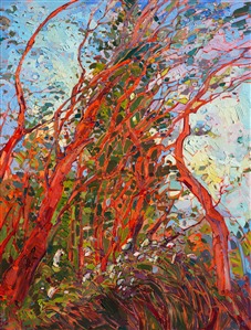 Pacific Madronas, painted in thickly impasto oil paints, by modern impressionist Erin Hanson Painting Dance of the Madronas