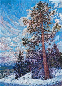At the top of a snow-capped mountain peak in the Sierra range, a grove of hardy pine trees grows, withstanding the vigorous winds and stretching tall into the sky. The brush strokes in this painting capture the motion and freedom of the wide outdoors. 

This painting was created on 1-1/2" canvas, with the painting continued around the edges. The piece will be framed in a simple gold floater frame.