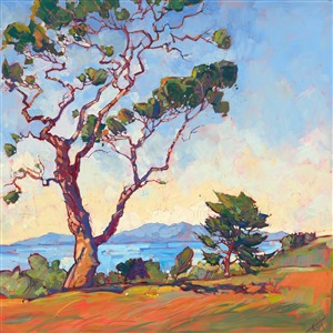 The wispy, wandering branches of a southern California eucalyptus tree beckon one to the edge of the cliff to look out across the sea towards Catalina island. The oil paint in this painting is applied in lively, bold brush strokes.

"Catalina Lights" was created on gallery-depth canvas, and the painting arrives framed in a contemporary gold floater frame, ready to hang.