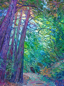 This path invites you into a peaceful land of beautiful light and color surrounded by coastal redwoods. You can almost imagine your quiet footfalls on the pine-needle-covered ground, soft light sparkling and peeking in between the boughs high overhead.

