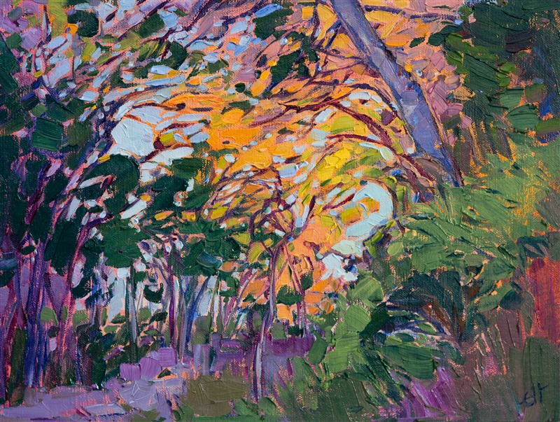 Bright color and vivid brush stokes come alive on this petite canvas.  The autumn light glows behind the oak trees, lighting up the greenery and creating a beautiful abstract motion within the painting.

This oil painting was done on linen board, and it arrives framed and ready to hang.