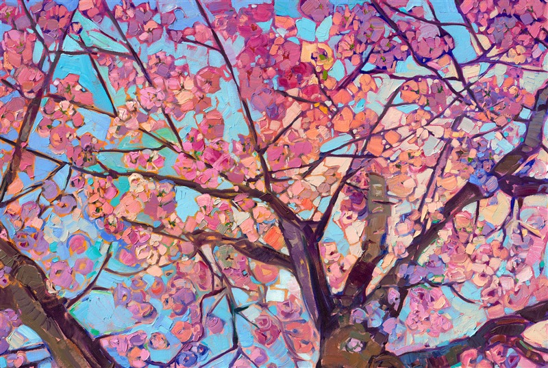 This large canvas captures the vibrant colors of spring in Oregon's Willamette Valley. Pink and white cherry blooms explode with color all across the valley, transforming the idyllic countryside into a painter's paradise. At 70 inches wide, this painting will make a statement in any room it is in. Thick brush strokes of oil paint applied in Hanson's signature Open Impressionism style convey a sense of movement and rhythm to the painting.