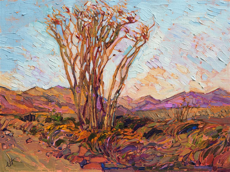 This impressionistic oil painting captures the subtle desert color of Borrego Springs, one of the gems of California's desert.  The distant mountains turn hues and pink and olive in the soft, early morning light, and the ocotillos in bloom is a must-see phenomenon. </p><p>This painting was created on fine canvas board, and the piece arrives framed and ready to hang.