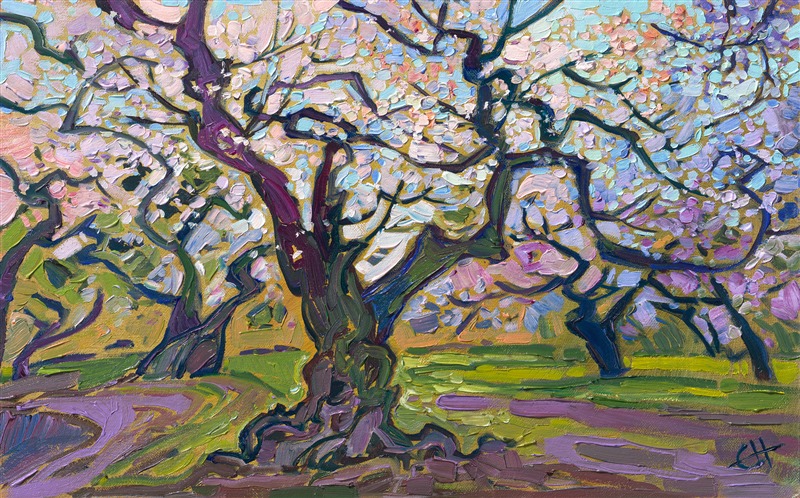 When I visited one of the famous parks in Osaka, Japan, hundreds of cherry trees were in bloom. The ancient trees were gnarled and beautiful, with their textured boughs darkened by the recent rainfall. The pale pink and white cherry blossoms lit up the sky, with a pale blue sky peeking out between the blooms.