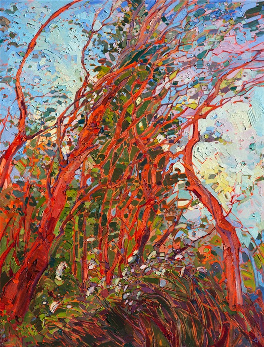The Pacific Madronas of northern Washington are most beautiful after a drenching rainfall that saturates their dark red bark.  This painting was inspired by an adventure through a deserted coastal landscape, scrambling up cliffsides and battering through aggressive plant growth, to finally discover a completely secreted grove of beautiful Madrona trees.  The Queen Anne's lace tumbles before the multi-hued, twisting and dancing Madrones.

This painting was created on museum-depth canvas, with the painting continued around the edges of the stretched canvas. This painting may be hung without a frame, or you may contact the artist for framing options.