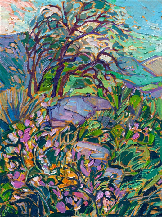Texas Hill Country is especially charming in the springtime, when dozens of varieties of wildflowers decorate the landscape. Splashes of pink and white blooms dance among the green grasses that grow between the granite boulders.