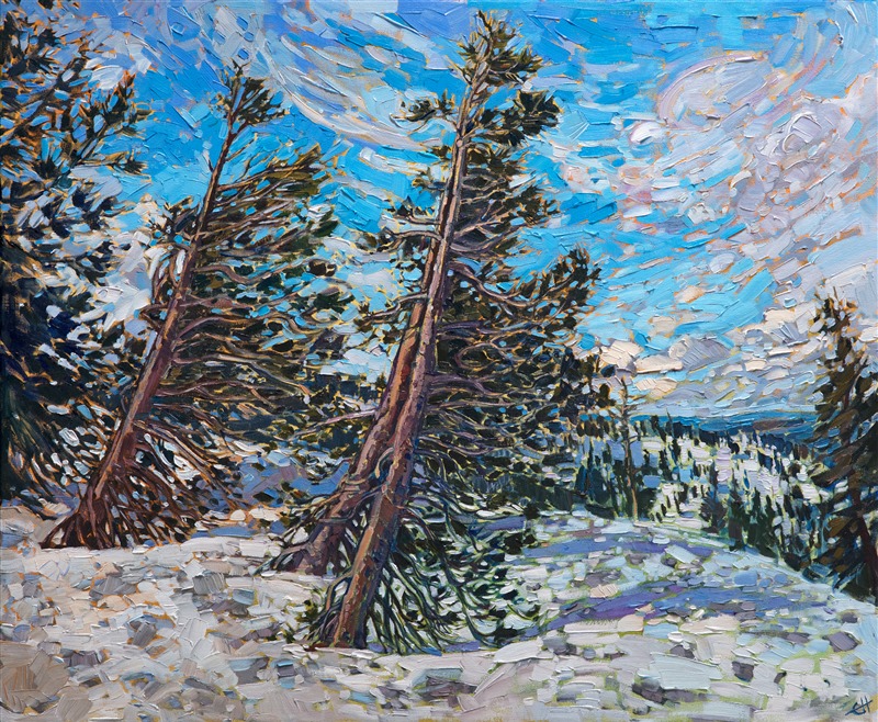 A wintery November dawn breaks across the high passes of the Sierra Nevadas. The snow-covered landscape is fresh and cool in the morning light. The ancient pines on the top of the mountain are wind-gnarled and perseverant. The scene is captured in thick, lively brush strokes and vivid, impressionistic brush strokes.</p><p>This painting was done on 1-1/2" canvas, with the painting continued around the edges of the canvas, and it has been framed in a custom-made gold floater frame. The painting arrives ready to hang.