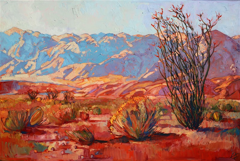 Golden afternoon hues bathe this desert landscape in warm colors. The blooming ocotillos in the Anza-Borrego state park is definitely worth traveling to see. The heavy red flowers cover the ocotillo stalks after enough rainfall, the crimson color contrasting against the stark desert landscape.