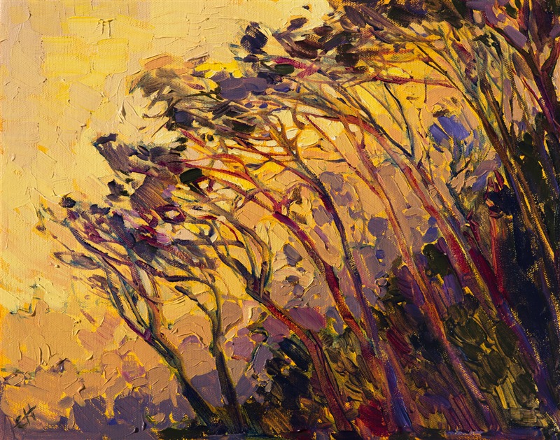 Saffron shades of light complement the hazy purple hills and coastal trees. The mosaic pattern of light has an almost stained glass look.  Each brush stroke is alive with color and texture.</p><p>This painting was done on 3/4" stretched canvas, and it has been framed in a classic plein-air frame. It arrives wired and ready to hang.