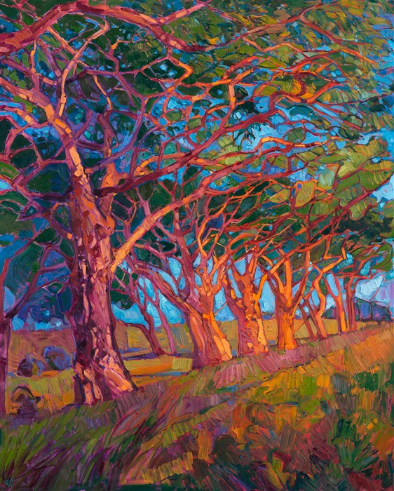 Scarlet light plays on these patriarchal trees, highlighting their natural beauty and color variations.   </p><p>This painting was created on a gallery-depth canvas with the painting continued around the edges, allowing for it to be hung framed or unframed. </p><p>Exhibited: "Impressions in Oil", Studios on the Park. Paso Robles, CA. 2015