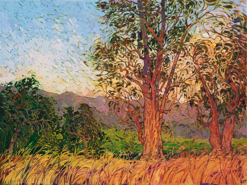 A September morning in Napa, California, found this view of eucalyptus bathing in the warm dawning light. The distant mountains are purple in the morning haze, and golden summer grasses dance in the foreground. The brush-strokes of oil paint are thickly applied and impressionistic, alive with color and texture.</p><p>This painting was created on 1-1/2" canvas, with the painting continued around the edges of the piece. The painting has been framed in a simple gold floater frame.