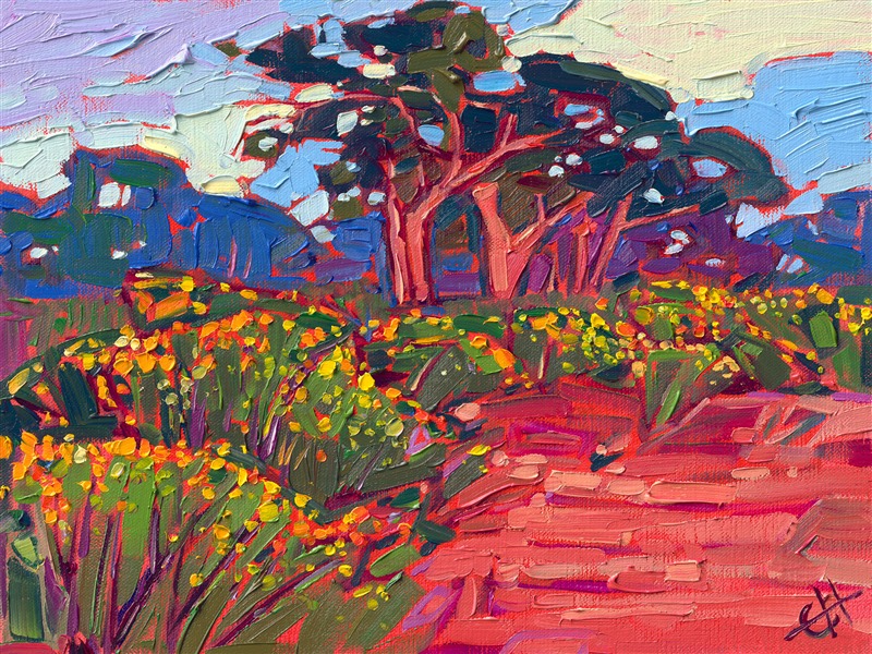 Yellow wildflowers grow in abundance along the high cliffs of Torrey Pines State Park, in southern California. The wind-sculpted Torrey Pines catch the early morning light and glow with hues of pink and red.

"Torrey Pine Blooms" was created on fine linen board, and the oil painting arrives framed in a plein air frame.