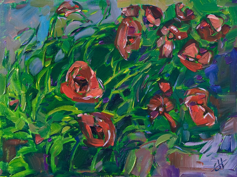 Loose, painterly brush strokes capture a grouping of red poppies during the spring super bloom of 2017. This expressive petite oil painting will be framed in a gold plein air frame and arrives ready to hang.</p><p>This painting will be displayed at <a href="https://www.erinhanson.com/event/californiasuperbloomartexhibition">The Super Bloom Show</a>, September 9th, at The Erin Hanson Gallery in San Diego.  If you purchase this painting before the show, your piece will be shipped to you after September 9th.