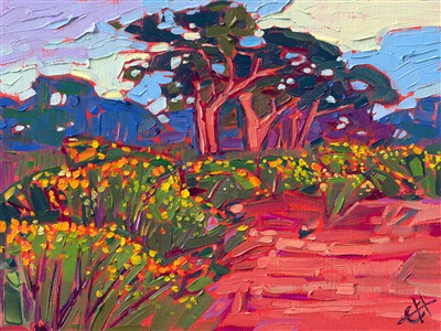 Yellow wildflowers grow in abundance along the high cliffs of Torrey Pines State Park, in southern California. The wind-sculpted Torrey Pines catch the early morning light and glow with hues of pink and red.

"Torrey Pine Blooms" was created on fine linen board, and the oil painting arrives framed in a plein air frame.