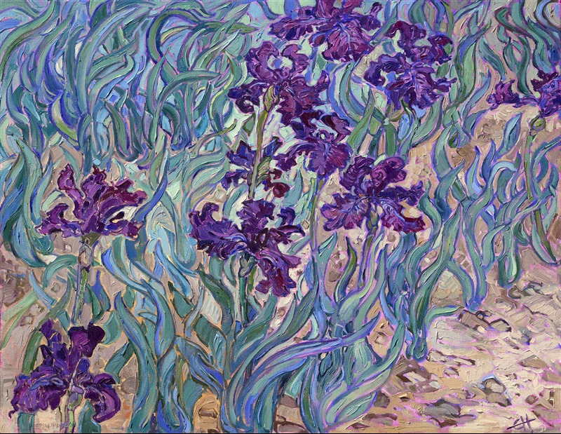 I love to visit Schreider's iris garden in Oregon's Willamette Valley every year. The incredible variety of iris flowers is mind-boggling. For this painting, however, I wanted to compose a painting designed to set off the velvet-dark colors of a purple iris flower, contrasting against the pale viridian hues of the leaves.