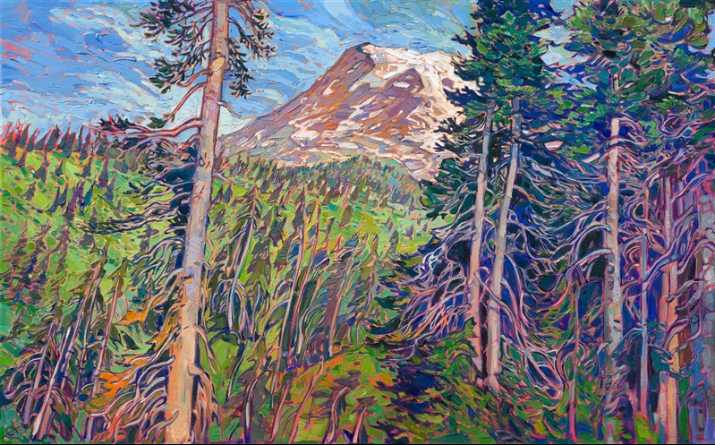 The first time I saw Mt Rainier, I was overwhelmed by the sheer size of the mountain. It reared high overhead, filling the senses. This painting captures the beauty of Rainier behind the ancient and winter-swept noble firs that grow at the base of the peak. Thick brush strokes of oil paint laid side by side communicate the majesty of the mountain.
