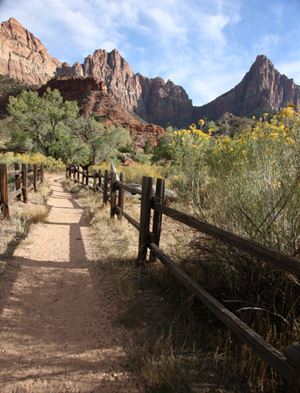 Backpacking at Zion National Park