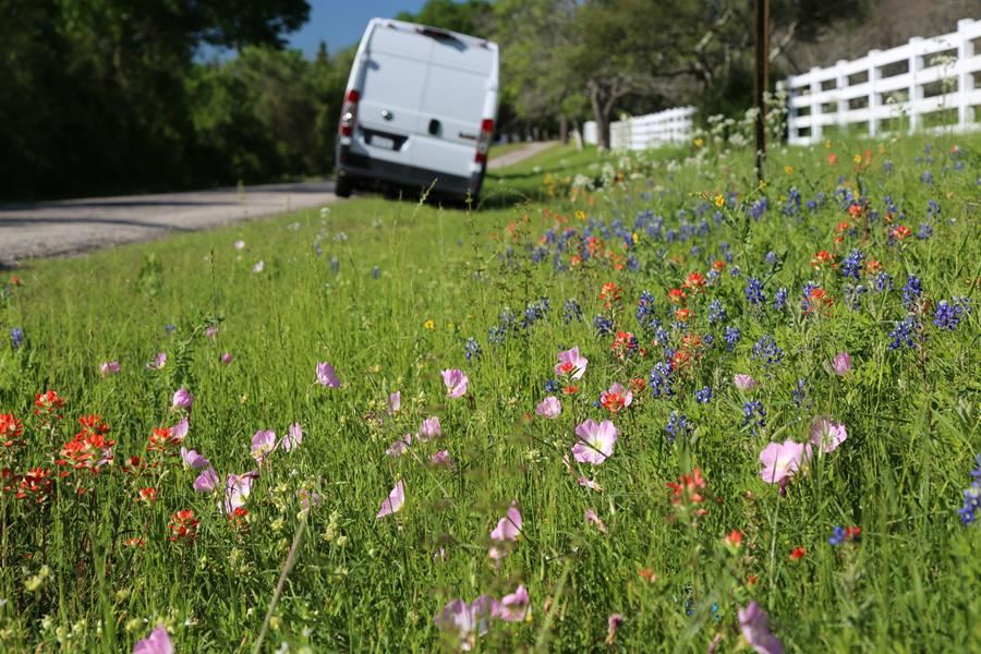 Oaks and Blooms photo taken with the van