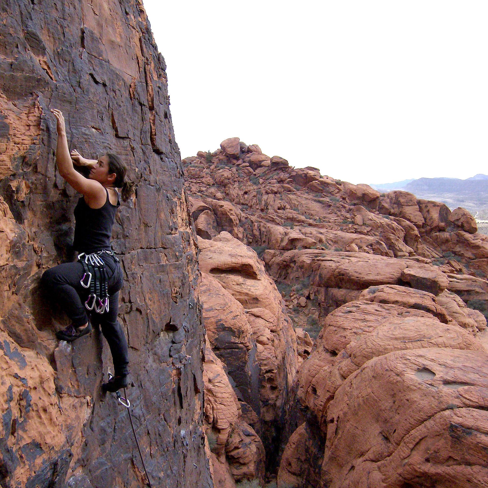 Artist Adventure Series Erin explores the wilderness as a rock climber, backpacker, and photographer, gathering reference material to use in her paintings. She seeks out the isolation of deserted locations, surrounding herself in natural beauty, and she also finds inspiration by exploring our National Parks and wine country regions. Read about her adventures in the Adventure Series Blogs.