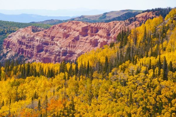 Cedar Breaks National Monument in Fall Colors